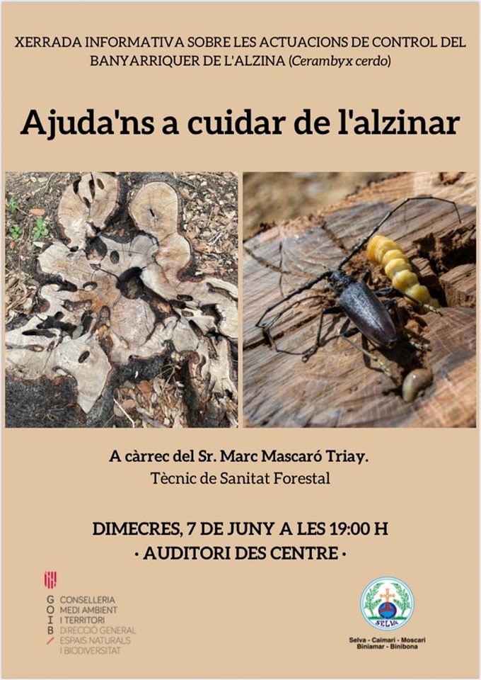 Ajuda'ns a cuidar l'alzinar