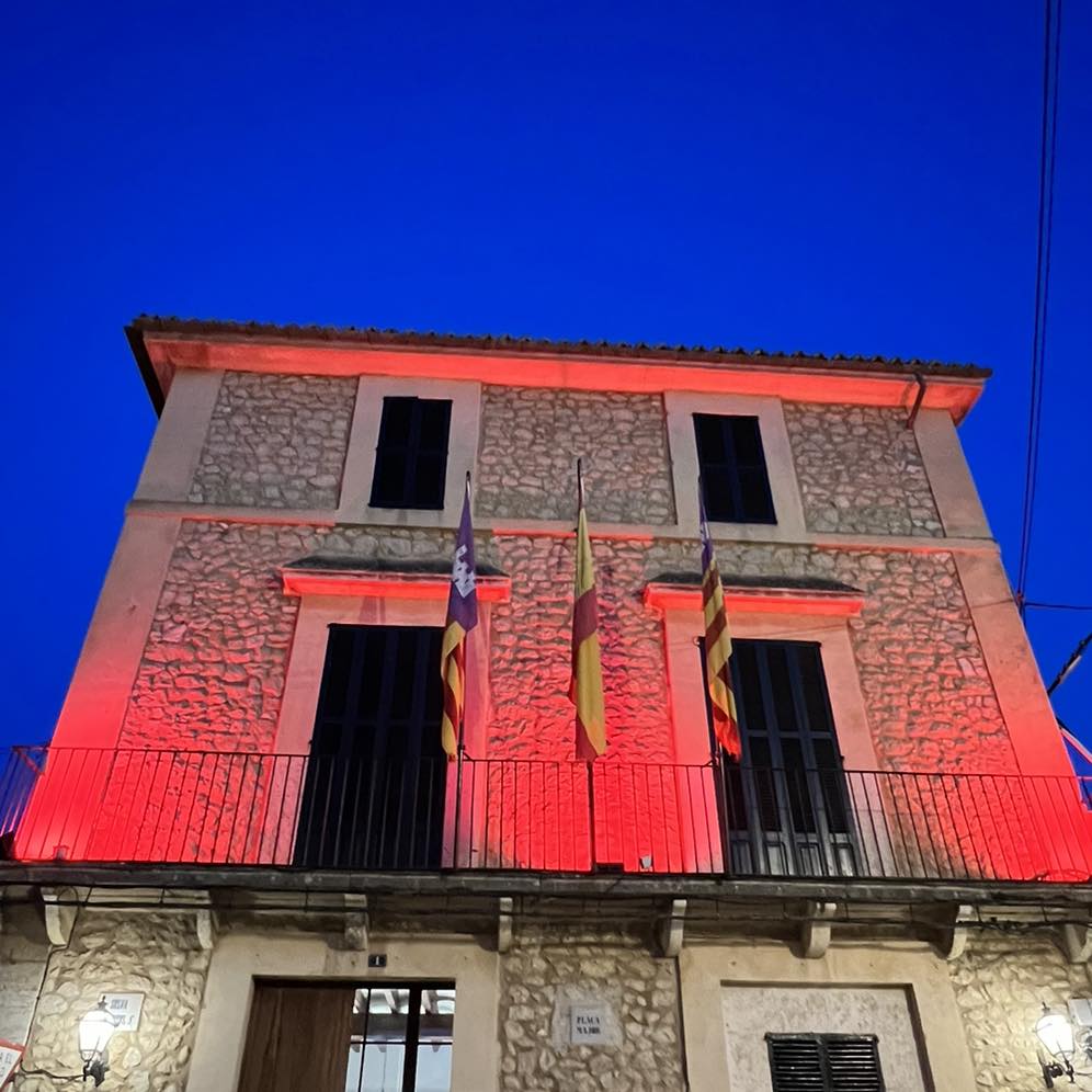 Commemoració al dia mundial del donant de sang