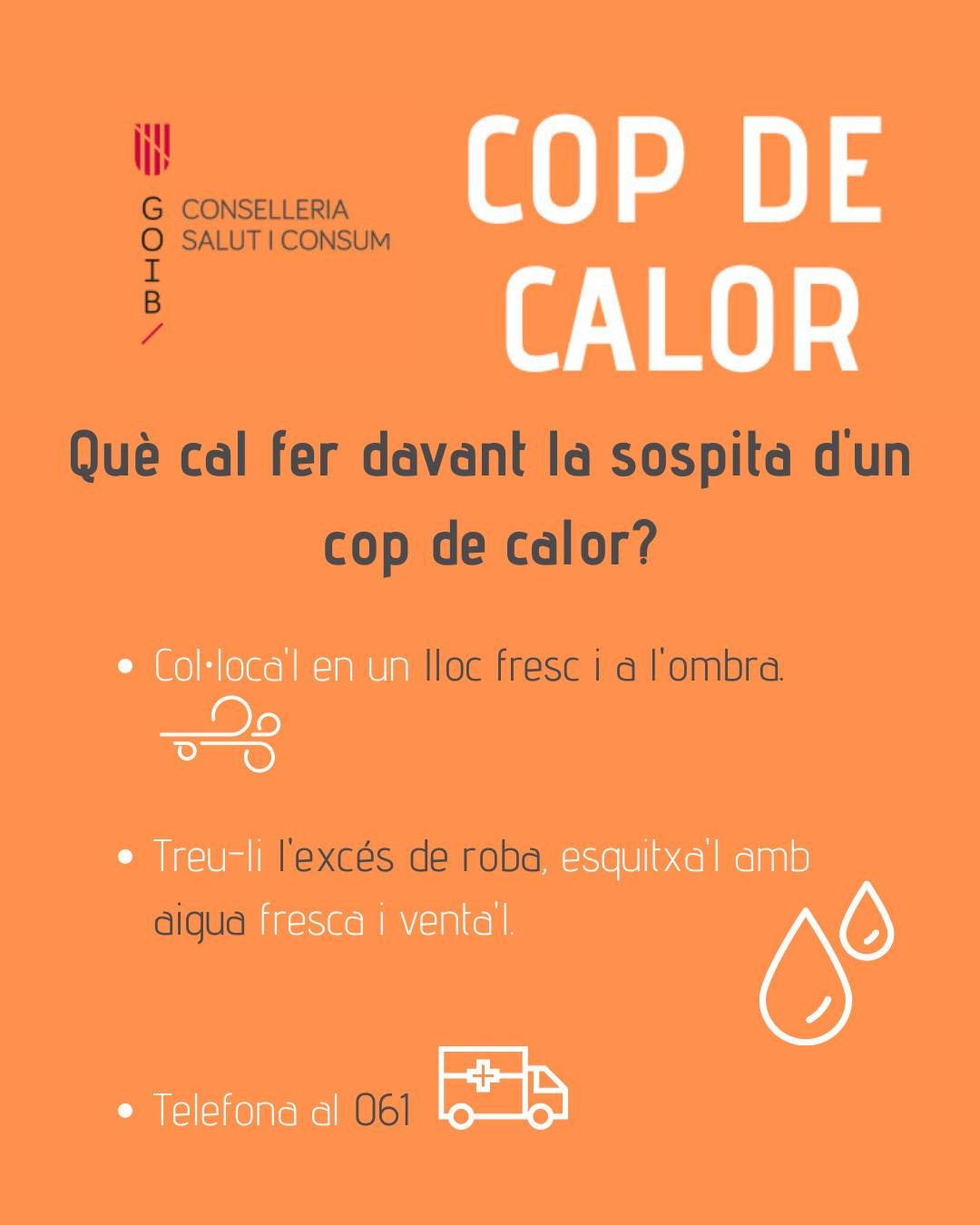 Cop de calor - 2