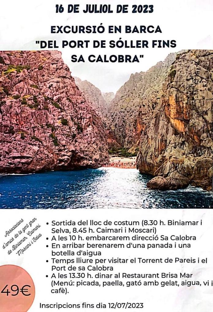 Excursió en barca "del Port de Sóller fins Sa Calobra"