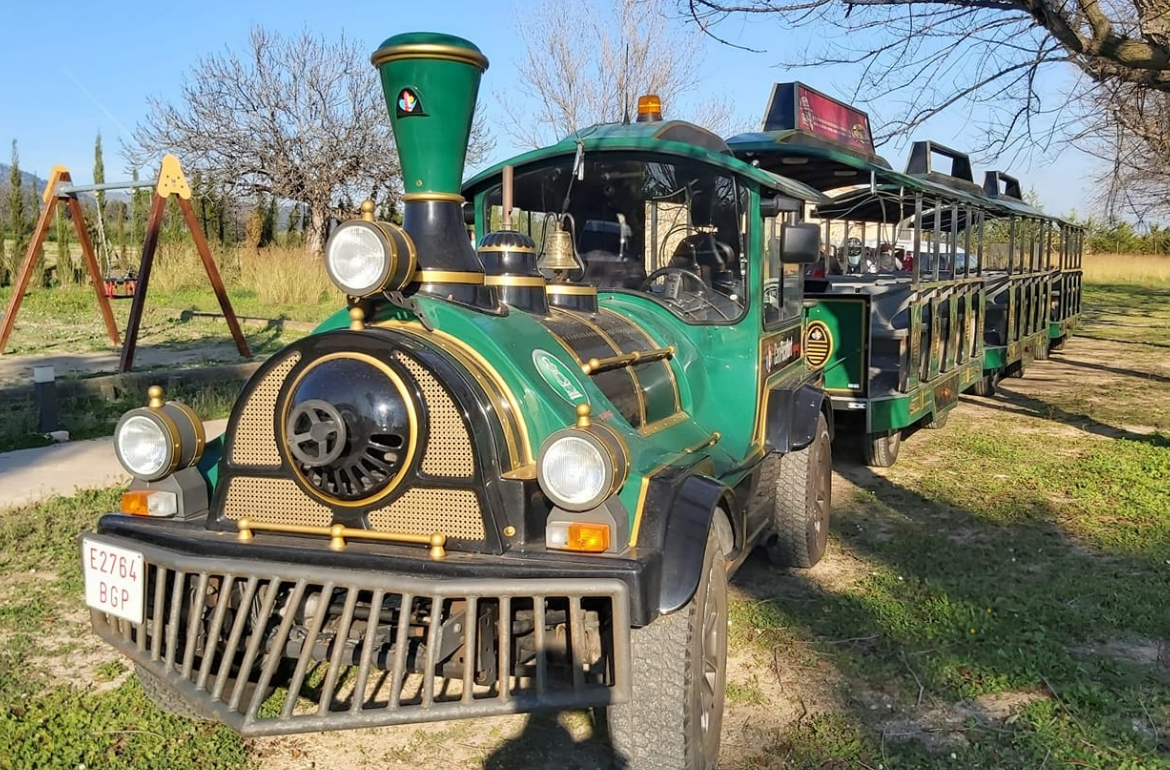 Passejada tren reial