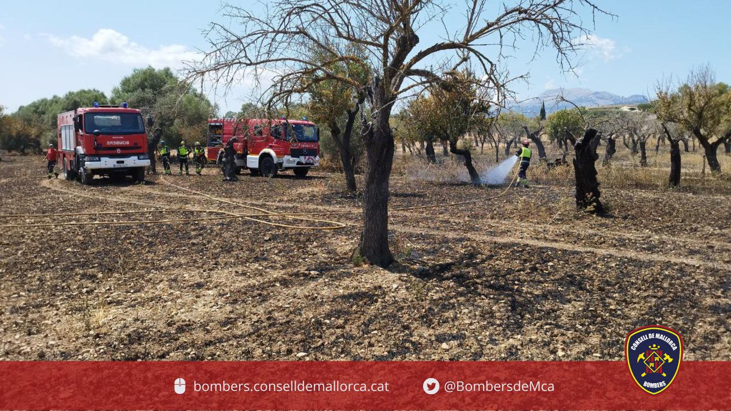 Ràpida actuació dels medis terrestres i aeris