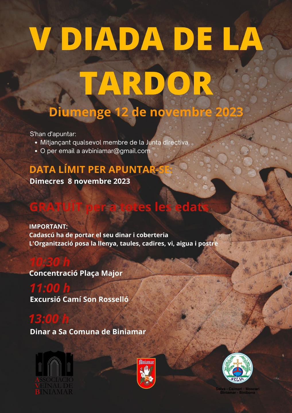 V Diada de la tardor