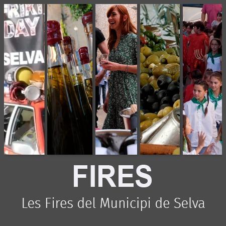 Fires del Municipi de Selva