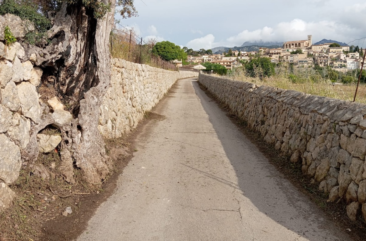 Portada Millora i neteja dels camins del municipi de Selva