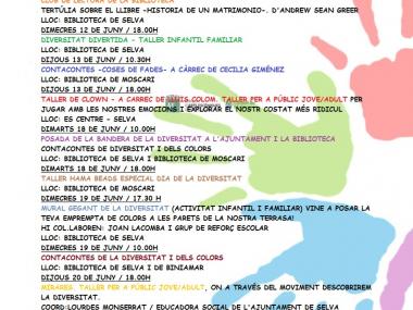Cartell diversitat