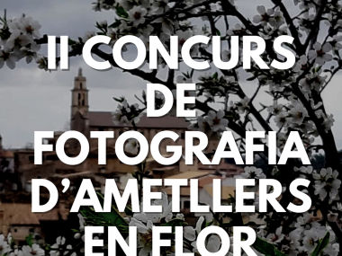 Concurs de fotografia