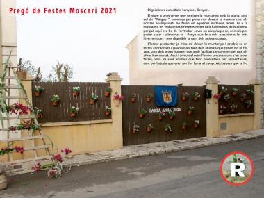 Fiestas8