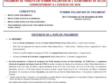 Pagament de tributs en termini voluntàri de l'Ajuntament de Selva corresponent a l'exercici 2018.