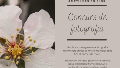 Concurs de fotografia