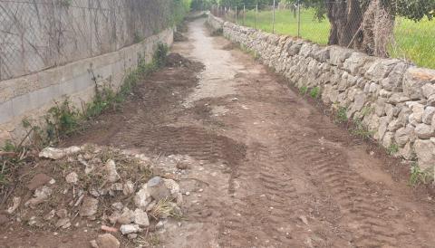 Camí Vell d'Inca a Selva