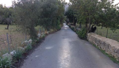 Treballs de poda i neteja de laterals del camí de Moscari a Binibona