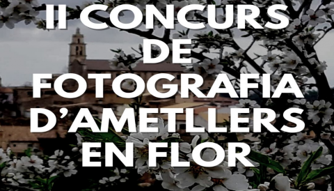 Portada concurs fotografia ametllers