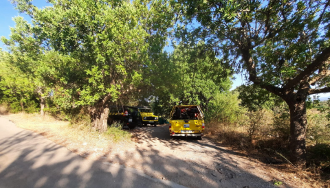 Portada Extinció i control de l'incendi causat a la zona de Son Colom