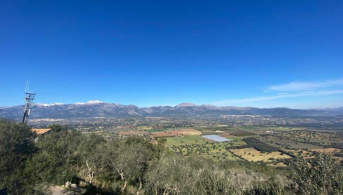 Portada S'ha presentat al Govern els informes desfavorables per la declaració de projecte industrial estratègic dels parcs fotovoltaics