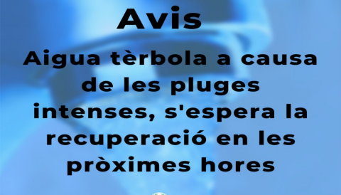 Portada Aigua tèrbola a causa de les puges intenses