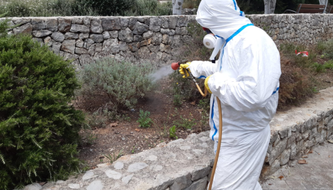 Portada Actuacions amb tractaments fitosanitaris en diferents zones del nostre municipi