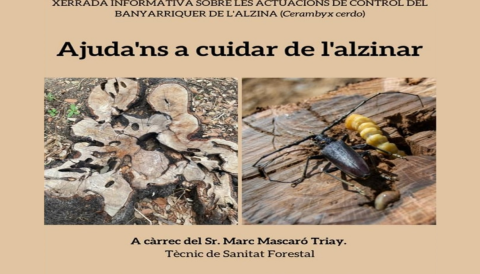 Portada Ajuda'ns a cuidar l'alzinar