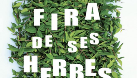 Portada RESUM XXIII Fira de Ses Herbes - Selva