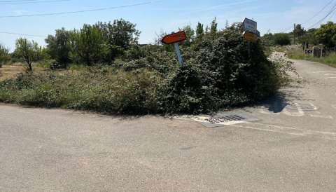 Portada Tasques de manteniment i neteja de voreres al camí de Moscari a Binibona