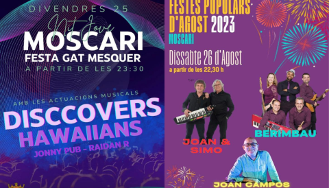 Portada Nit Jove: Festa Gat Mesquer i Gran Verbena