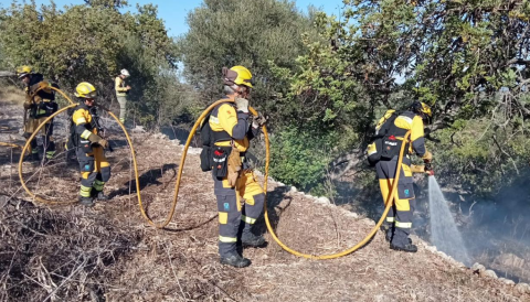Portada Nou incendi a la zona de la carretera Caimari - Mancor
