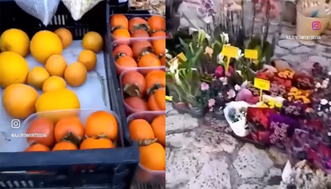 Portada Avui mercat quinzenal a Biniamar