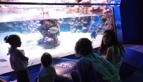 Portada Ludoteques participatives familiars - Palma Aquàrium