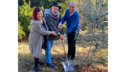Portada Ahir diumenge es va celebrar el Dia Mundial de l'Olivera, un símbol de pau i saviesa que ha estat part de la cultura i paisatge del municipi de Selva durant segles.