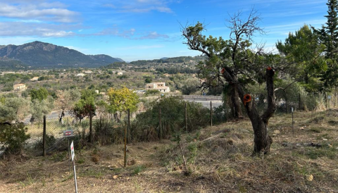 Portada  Projecte d'adequació de la finca de Son Vic