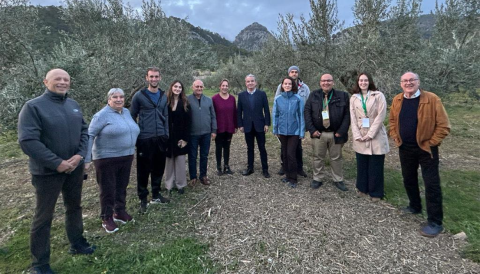 Portada Visita a l'exposició "Oliveres, Oli i Olives", la Tafona de Caimari