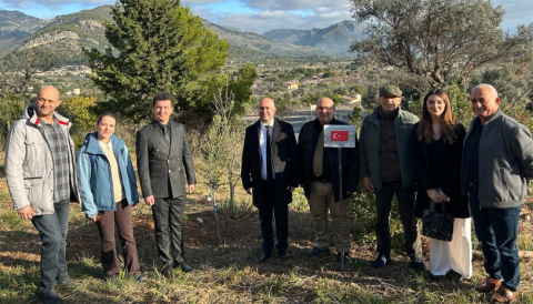 Portada Visita al Jardí de les oliveres del Mediterrani a la finca de Son Vic de Selva i Palau Reial de Palma