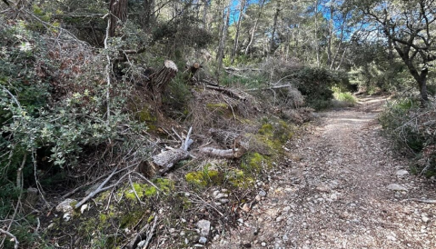 Portada Neteja del Camí des Comellar de Sa Coveta Negra a Sa Comuna de Caimari