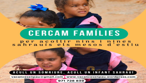 Portada Vacances en pau 2024