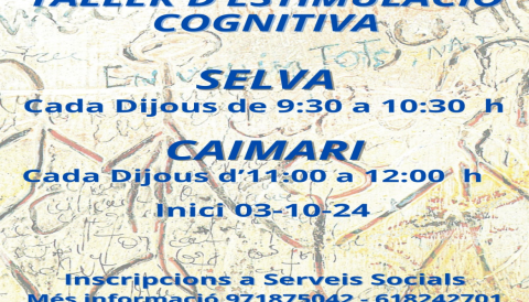 Portada Tallers d'estimulació cognitiva i habilitats socials