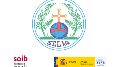 Portada Convocatòria  SOIB Jove: Qualificats - Entitats Locals 2024