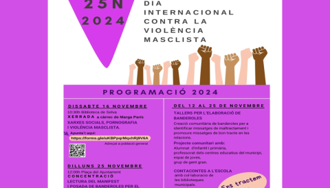Portada Dia internacional contra la violència masclista