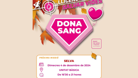 Portada Dona sang