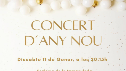 Portada Concert d'any nou