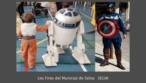Portada https://ajselva.net/ca/fires-del-municipi-de-selva