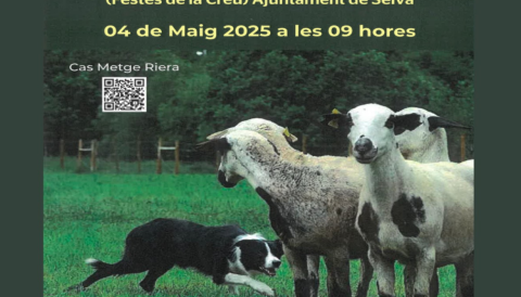 Portada Concurs de pastoreig