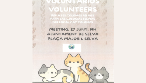 Portada Acte voluntaris per a colònies felines