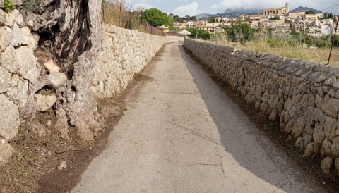 Portada Millora i neteja dels camins del municipi de Selva