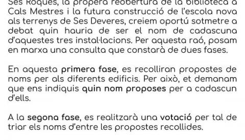 Consulta ciutadana