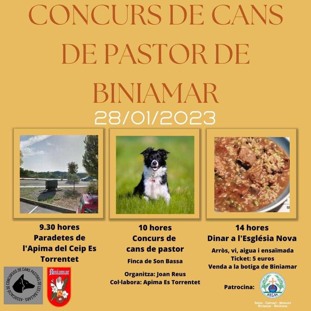 Concurs de cans de pastor de Biniamar